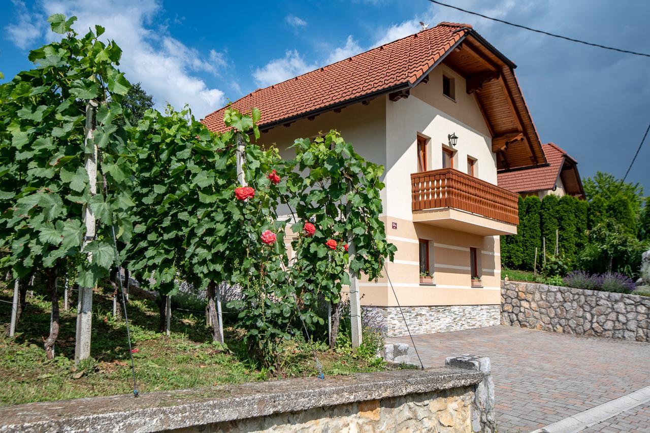 Vineyard Cottage Pod Piramido Dobrnic 外观 照片