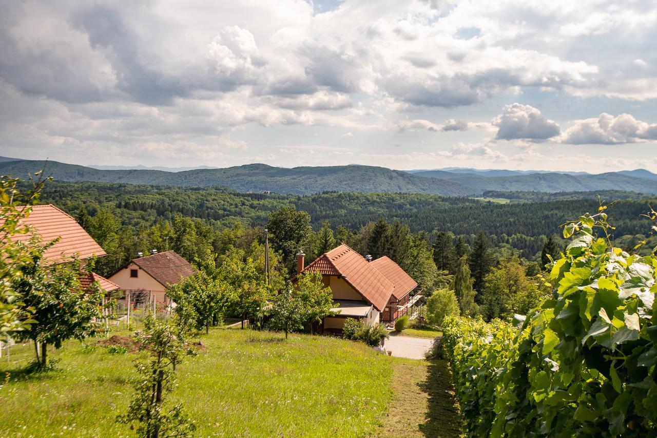Vineyard Cottage Pod Piramido Dobrnic 外观 照片
