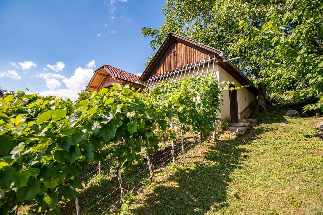 Vineyard Cottage Pod Piramido Dobrnic 外观 照片